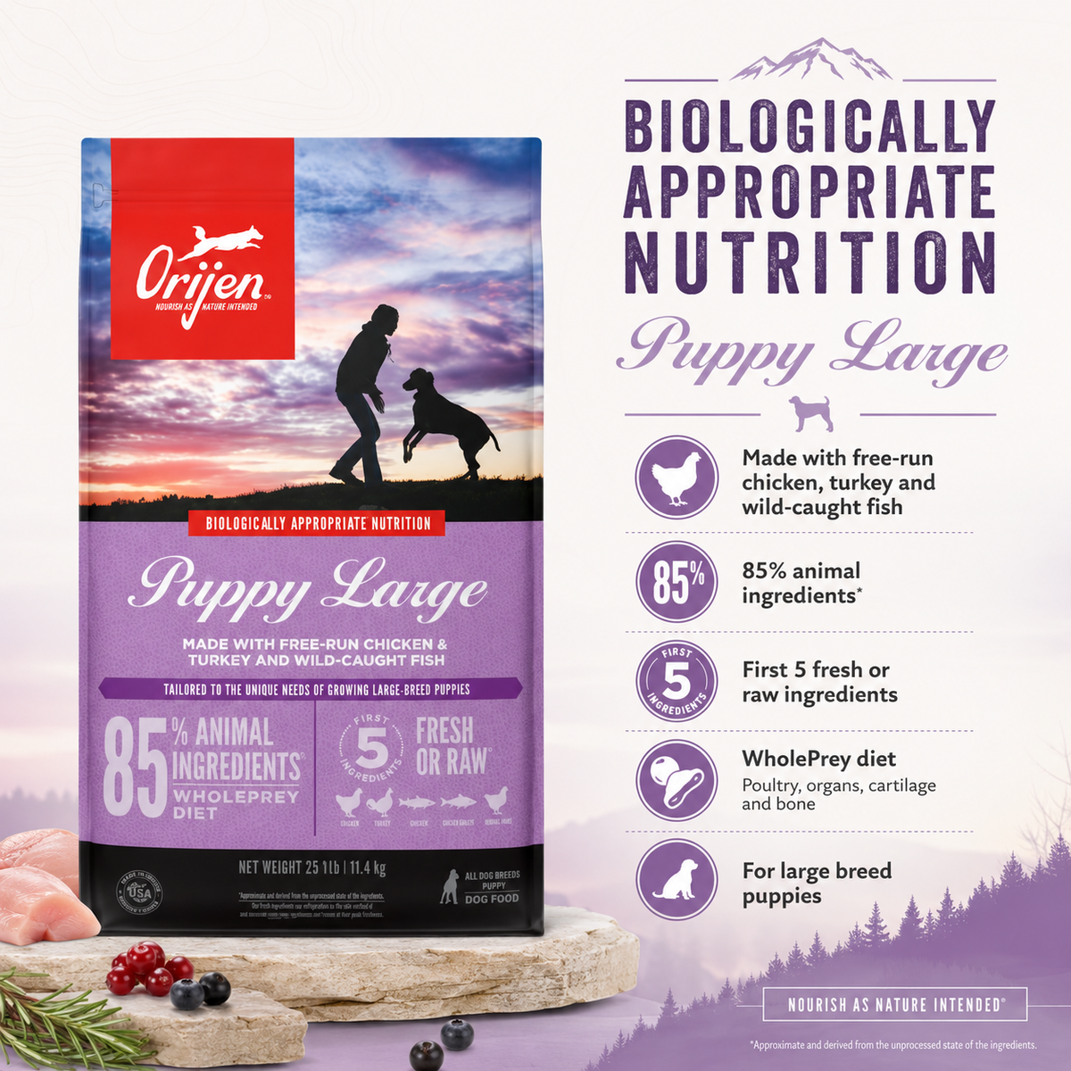 Orijen Puppy Large dry dog food packaging with free-run chicken turkey and wild-caught fish featuring 85 percent animal ingredients WholePrey diet and biologically appropriate nutrition for large breed puppies