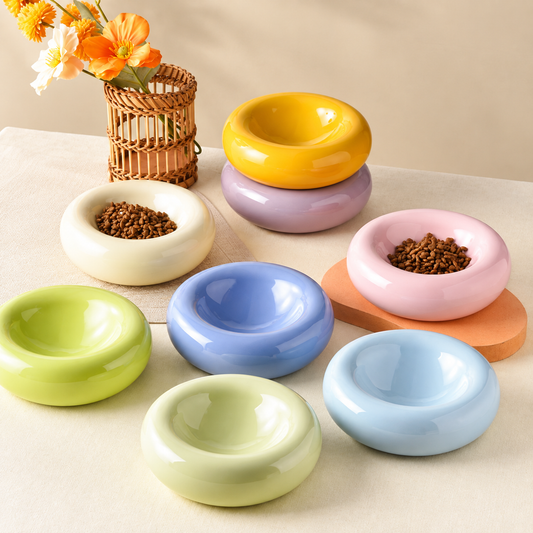 Assorted colourful ceramic cat food bowls displayed in a warm indoor setting