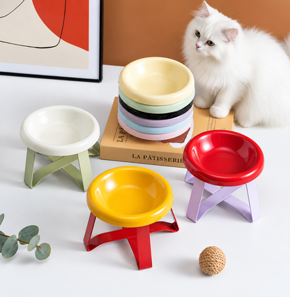 Colourful raised ceramic cat bowls on folding stands beside a white cat