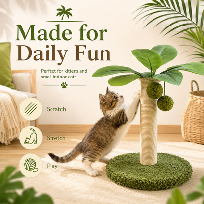 Kitten playing with coconut tree cat scratching post for scratching, stretching and daily fun