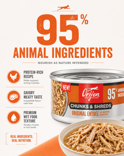 Premium ORIJEN Original Entrée in Bone Broth wet cat food served in a bowl