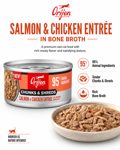 ORIJEN Salmon and Chicken Entrée in Bone Broth wet cat food with 95% animal ingredients