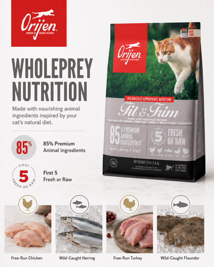ORIJEN Fit & Trim WholePrey dry cat food with free-run chicken, turkey, herring and flounder