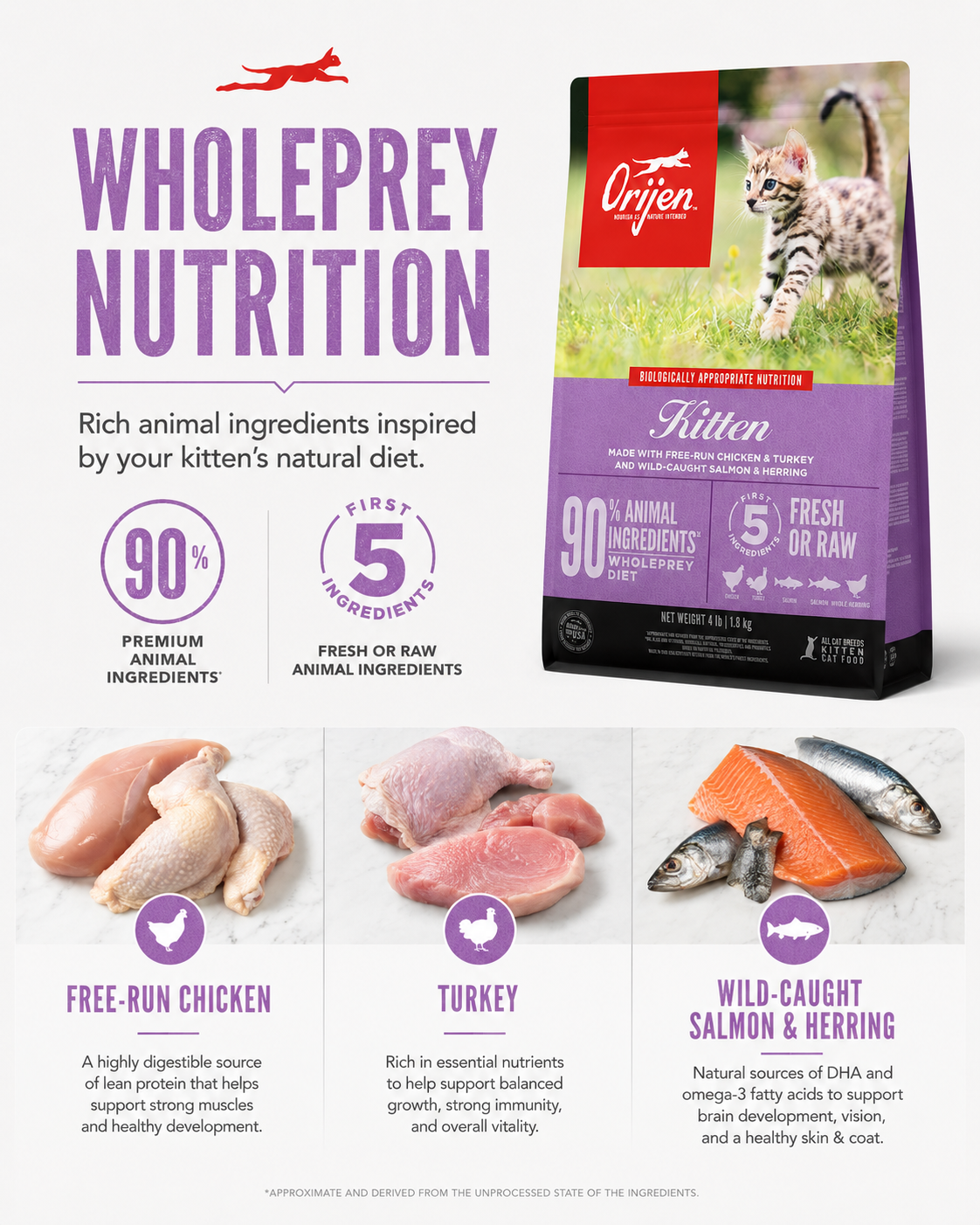ORIJEN Kitten dry cat food with 8 health benefits for healthy kitten development