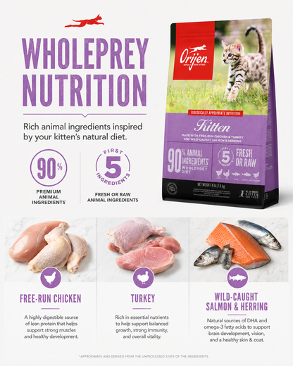 ORIJEN Kitten dry cat food with 8 health benefits for healthy kitten development