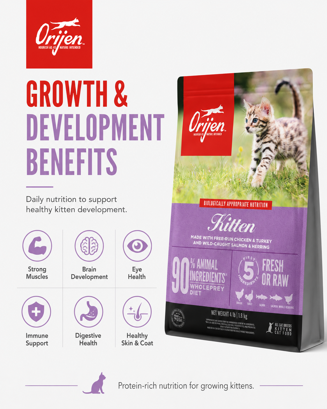 ORIJEN Kitten WholePrey dry cat food with chicken, turkey, salmon and herring ingredients