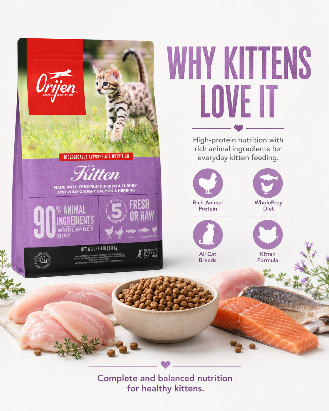 ORIJEN Kitten dry cat food for kittens with rich animal protein and balanced nutrition