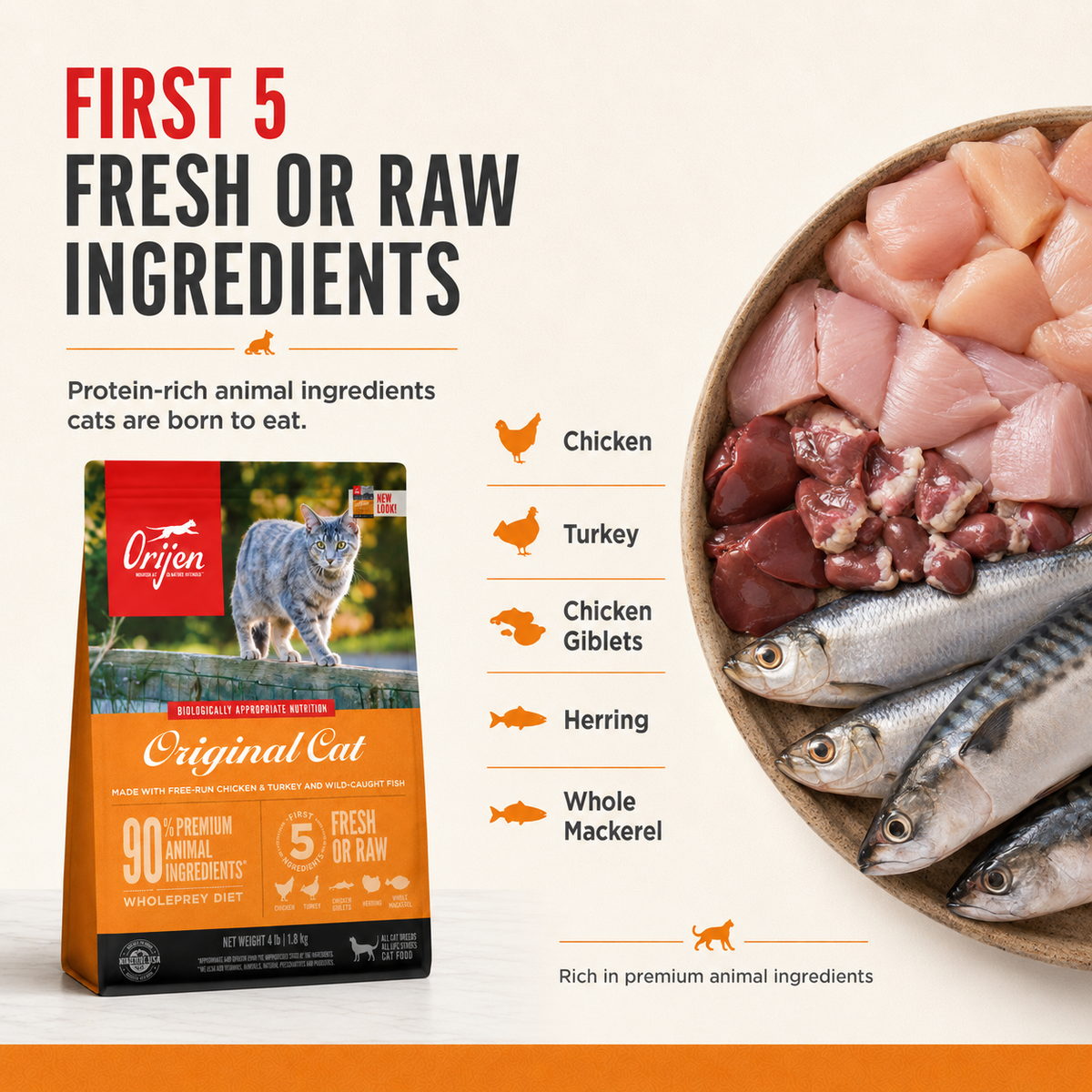 Orijen cat food first five fresh or raw ingredients including chicken turkey chicken giblets herring and whole mackerel high protein animal based nutrition for cats