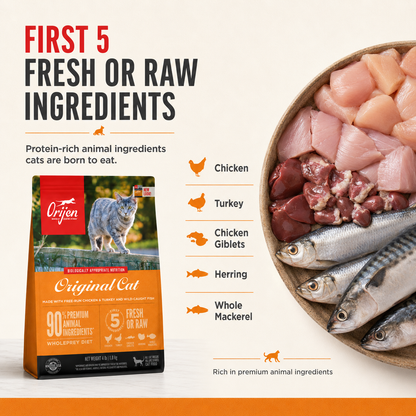 Orijen cat food first five fresh or raw ingredients including chicken turkey chicken giblets herring and whole mackerel high protein animal based nutrition for cats