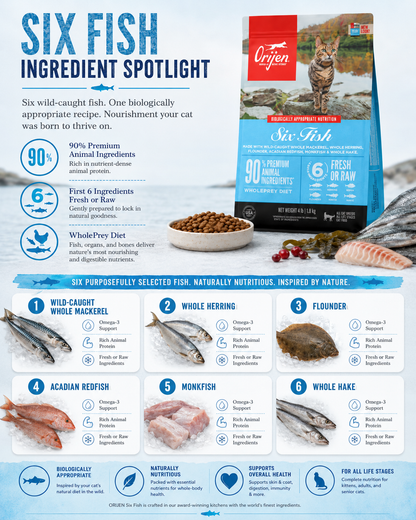 ORIJEN Six Fish dry cat food ingredient spotlight with six wild-caught fish and fresh or raw ingredients