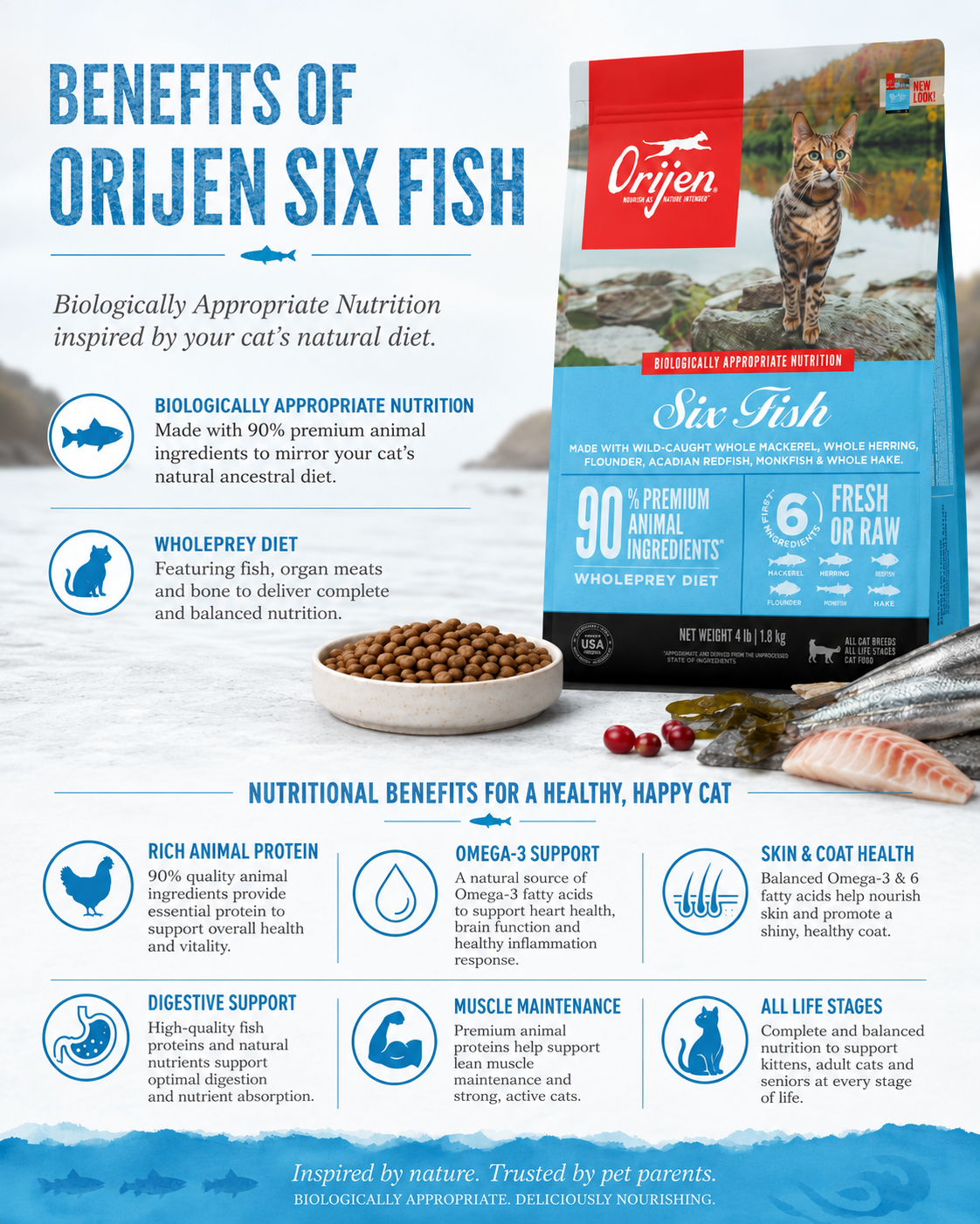 ORIJEN Six Fish dry cat food benefits with omega-3 support, skin and coat health, and digestive support