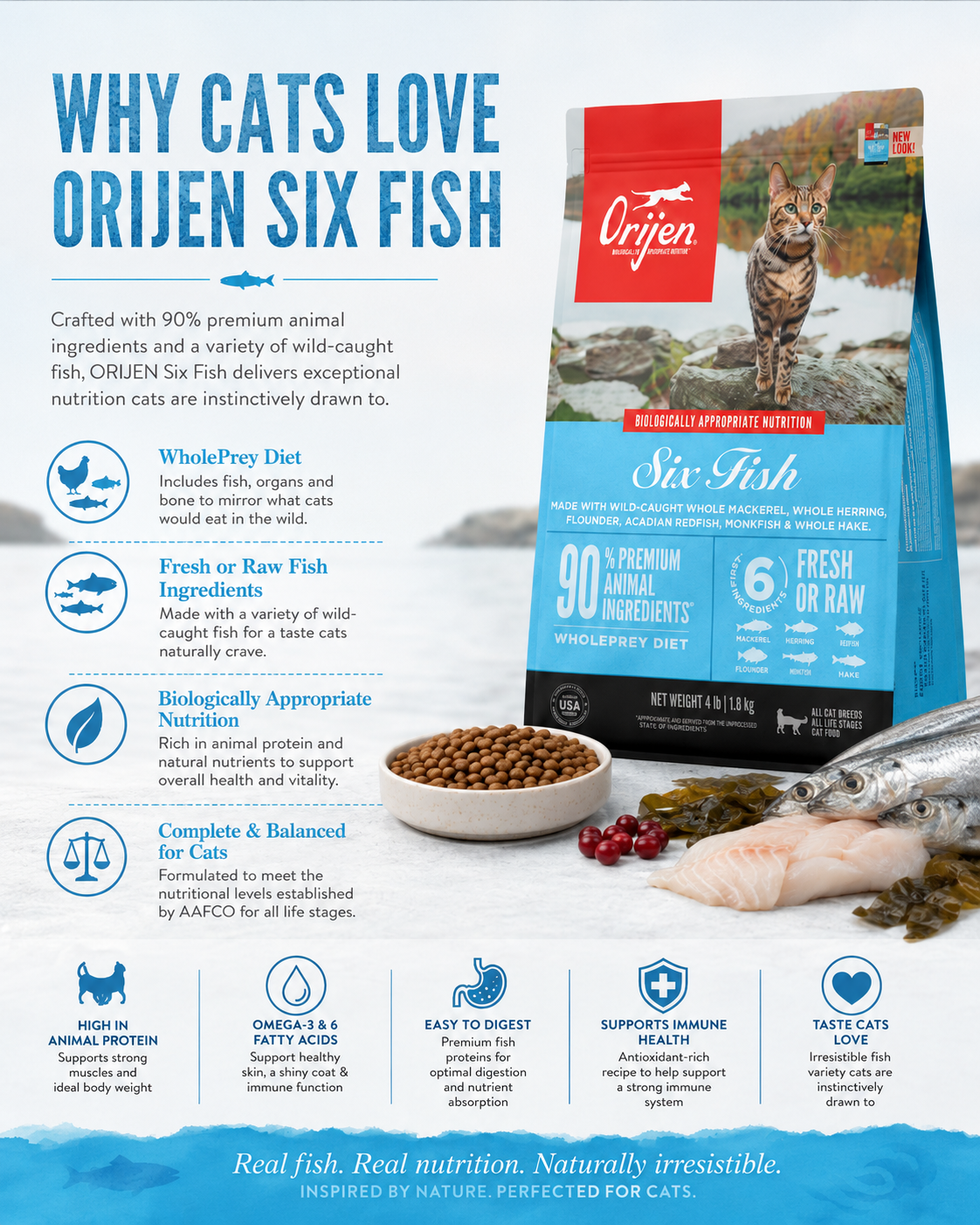 ORIJEN Six Fish dry cat food for cats with wild-caught fish, high animal protein, and balanced nutrition