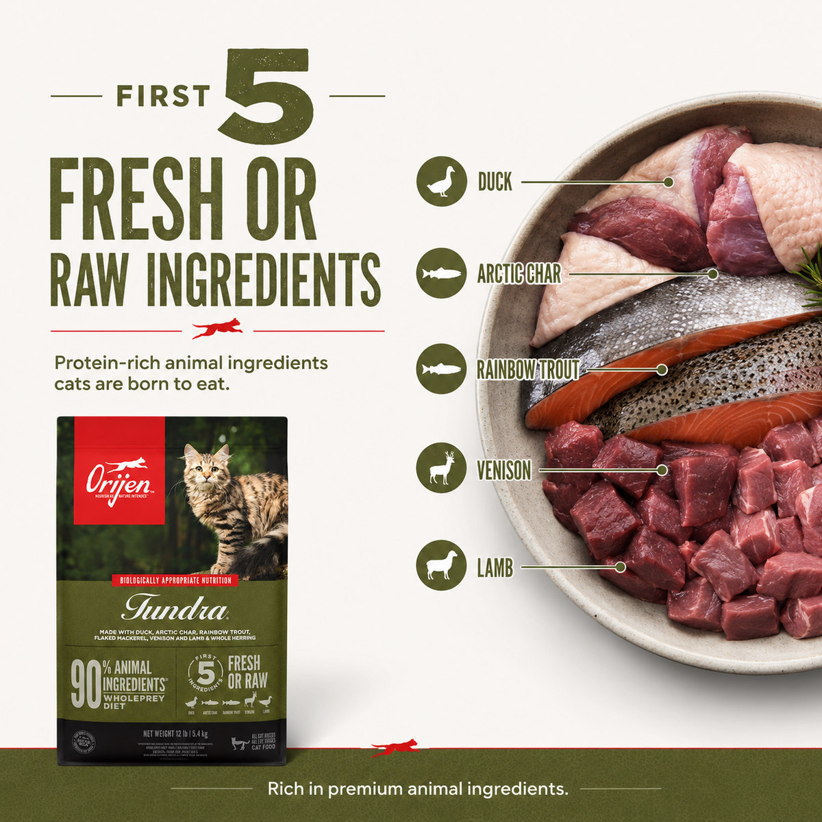 Orijen Tundra cat food first five fresh or raw ingredients including duck arctic char rainbow trout venison and lamb with premium animal protein nutrition for cats