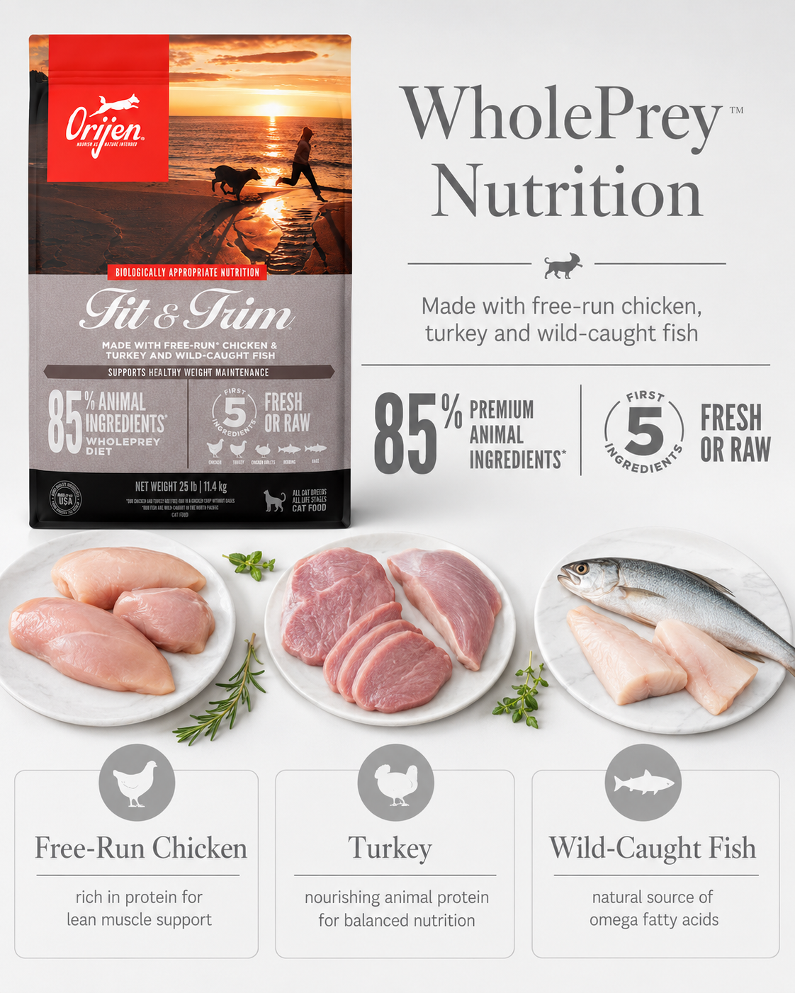 ORIJEN Fit & Trim WholePrey dry cat food with free-run chicken, turkey and wild-caught fish