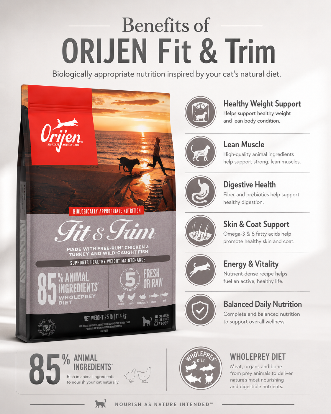 ORIJEN Fit & Trim dry cat food benefits for healthy weight, digestion, skin and coat support