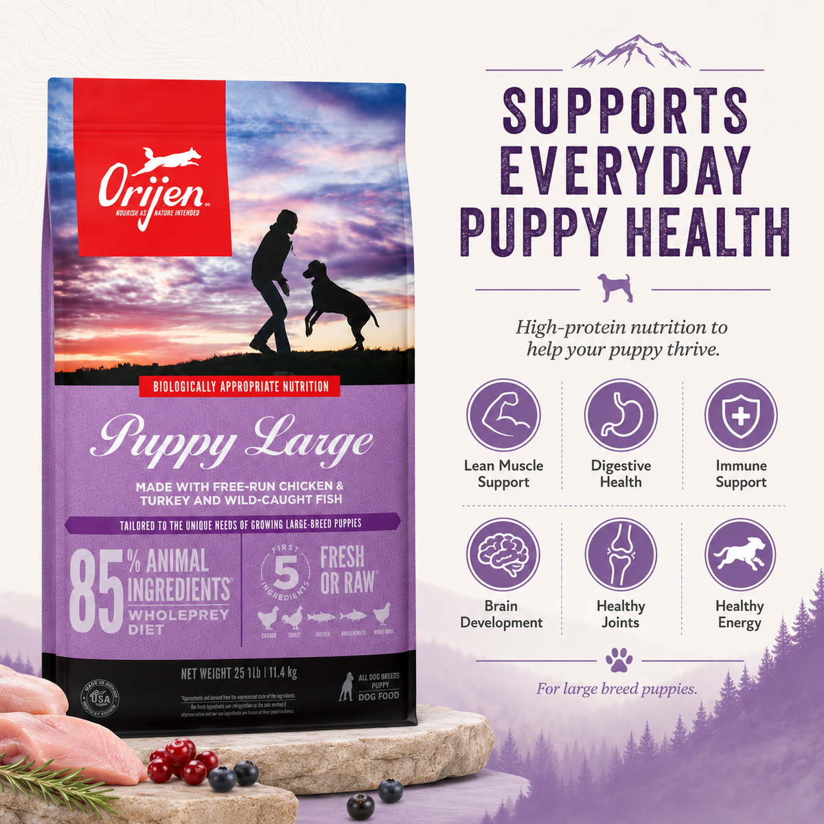 Orijen Puppy Large dry dog food supports everyday puppy health with lean muscle support digestive health immune support brain development healthy joints and energy for large breed puppies