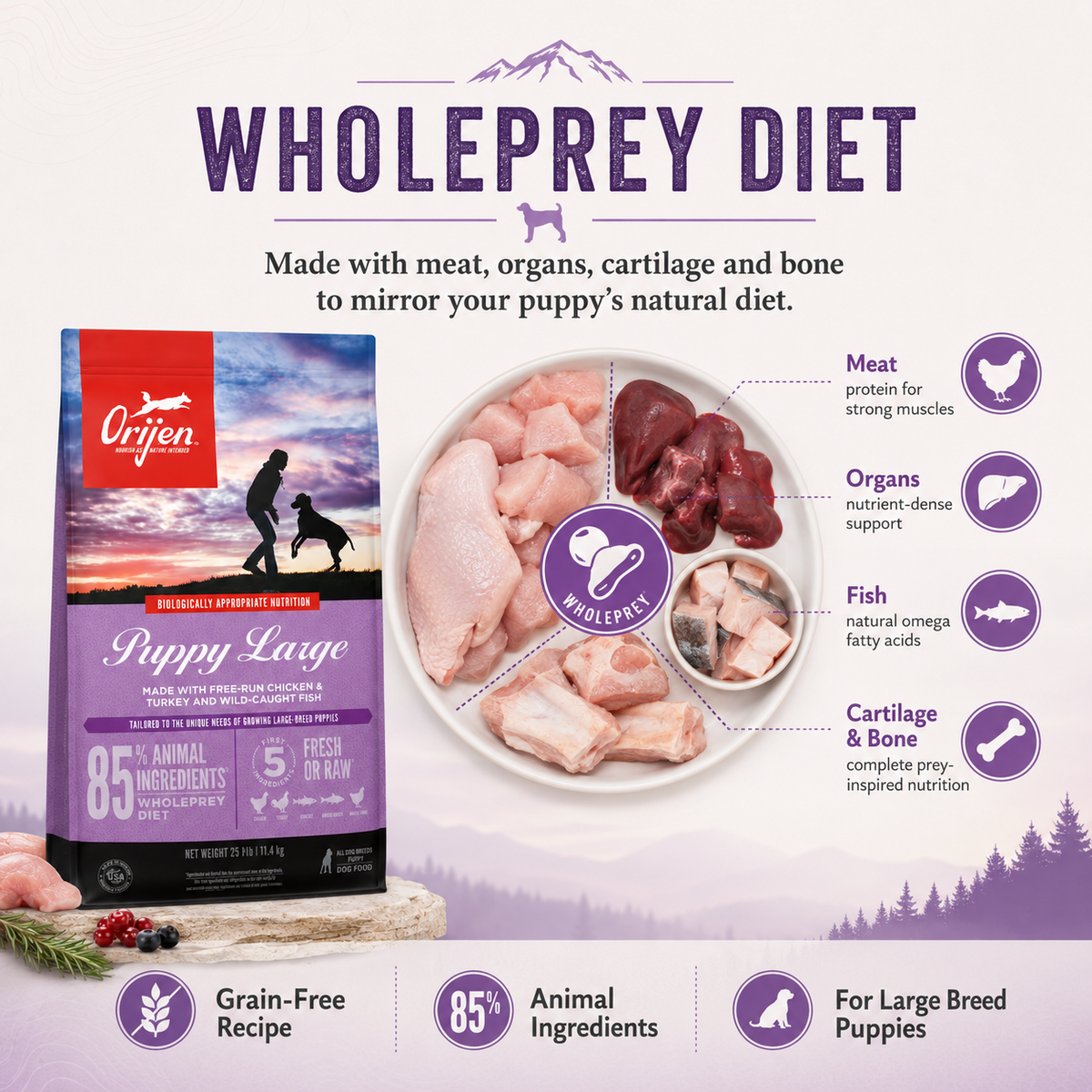 Orijen Puppy Large WholePrey diet dog food made with meat organs fish cartilage and bone featuring grain free recipe 85 percent animal ingredients and nutrition for large breed puppies