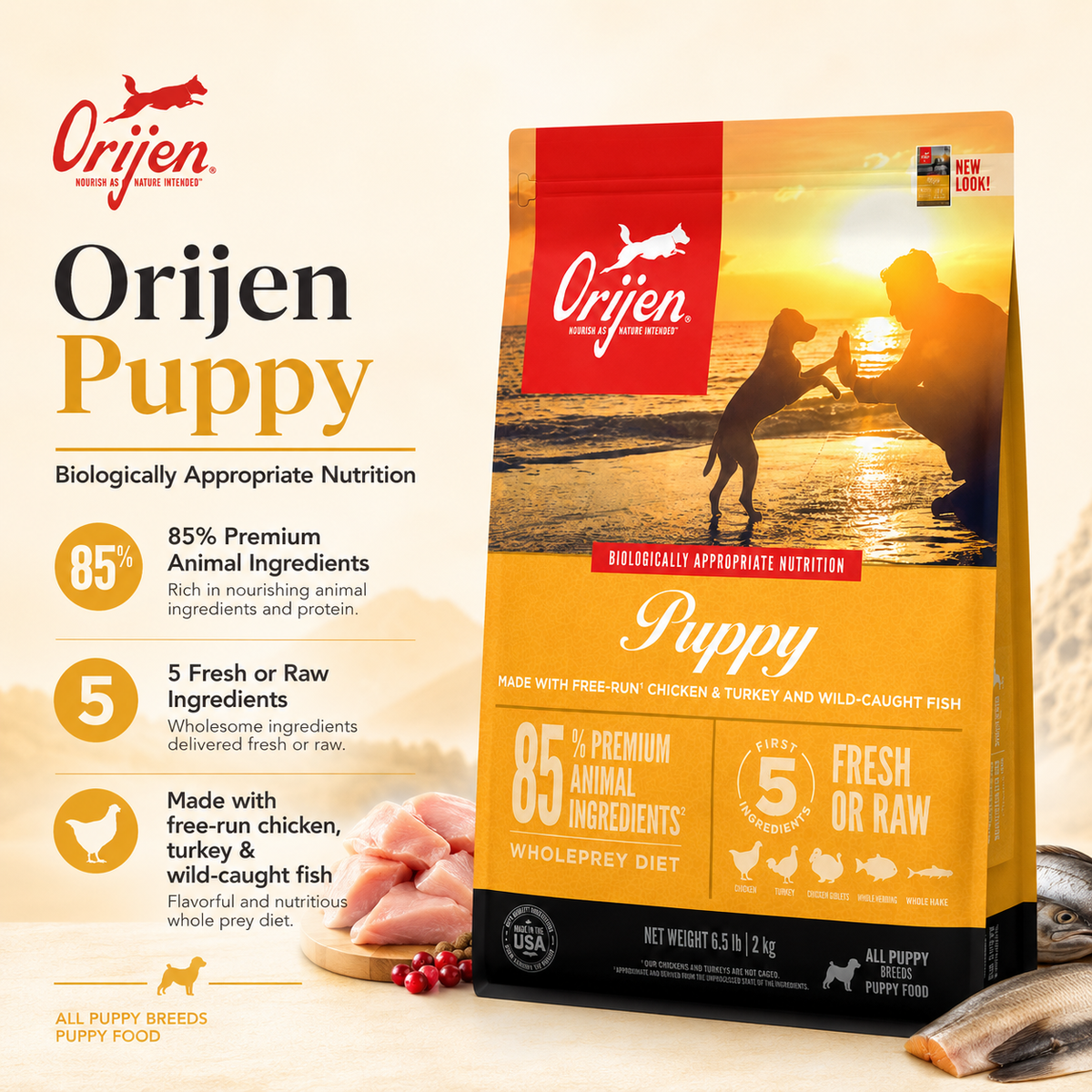 Orijen Puppy dog food bag on beach sunset scene with puppy and dog interaction, high protein grain free puppy nutrition