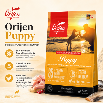 Orijen Puppy dog food bag on beach sunset scene with puppy and dog interaction, high protein grain free puppy nutrition