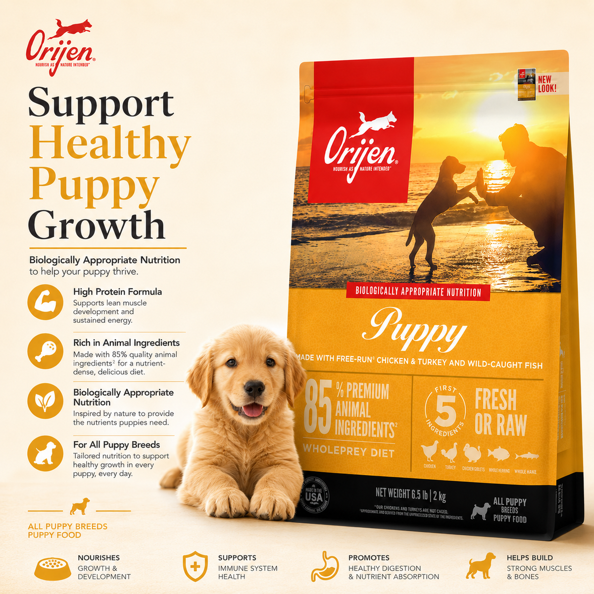 Orijen Puppy dog food promotional poster with golden puppy showing healthy growth immune support and balanced nutrition benefits