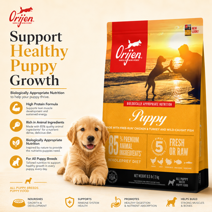 Orijen Puppy dog food promotional poster with golden puppy showing healthy growth immune support and balanced nutrition benefits