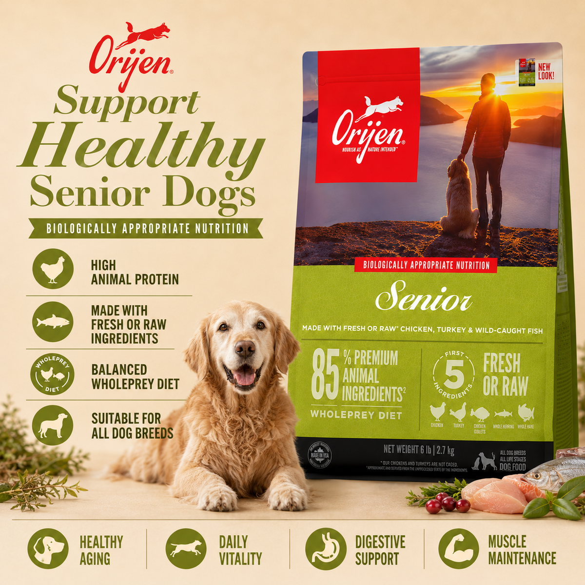 New pet food product advertising design featuring high quality dog nutrition grain free formula with fresh meat ingredients