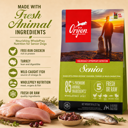 Senior dog with owner at sunset next to Orijen dog food bag showing healthy aging support and high protein nutrition formula