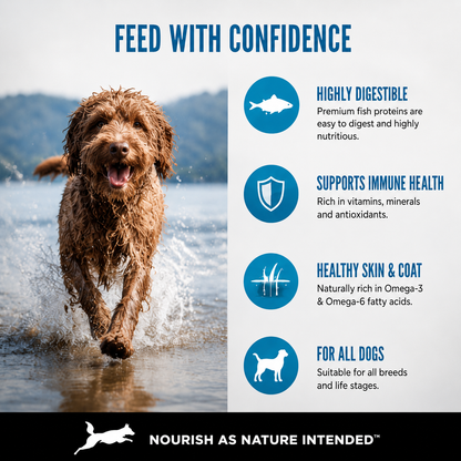 Orijen Six Fish dog food ingredients showing six wild caught fish varieties high protein grain free marine nutrition formula