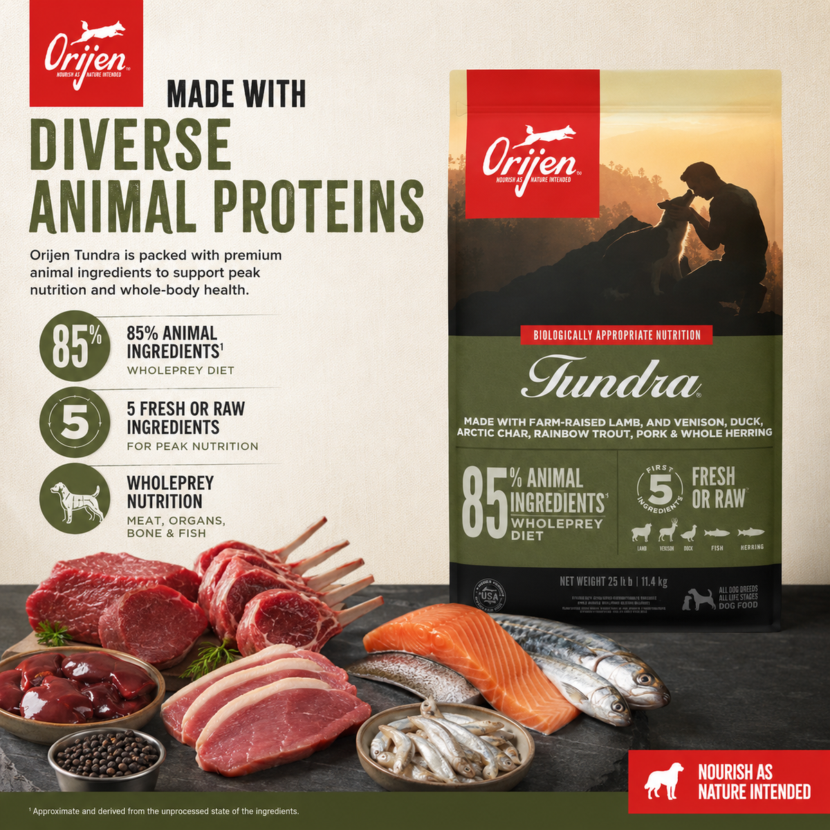 Orijen Tundra dog food ingredients showing diverse animal proteins including lamb venison duck fish and WholePrey nutrition formula