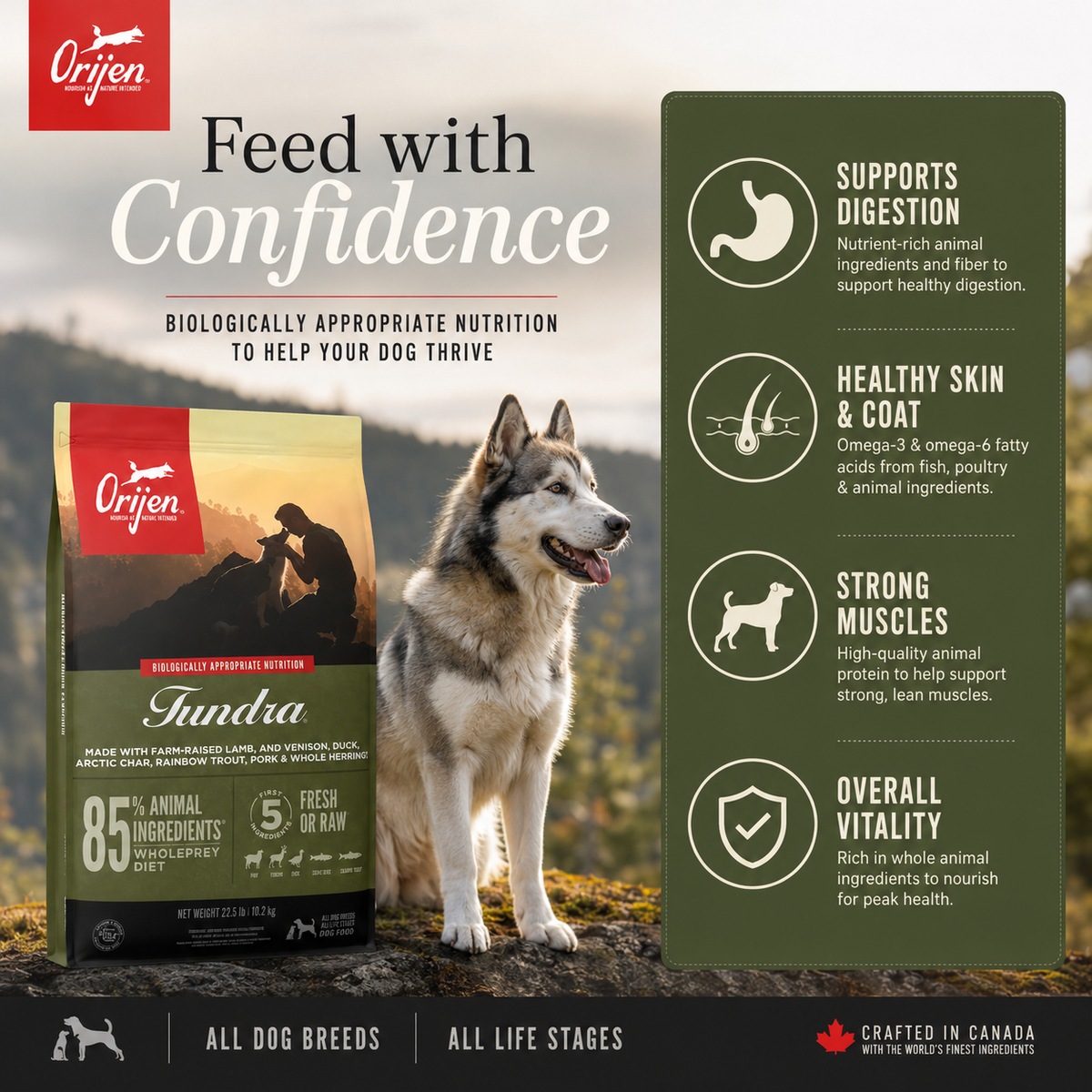 Happy dog promoting Orijen Tundra dog food with high protein natural ingredients digestive health skin coat and immune support benefits