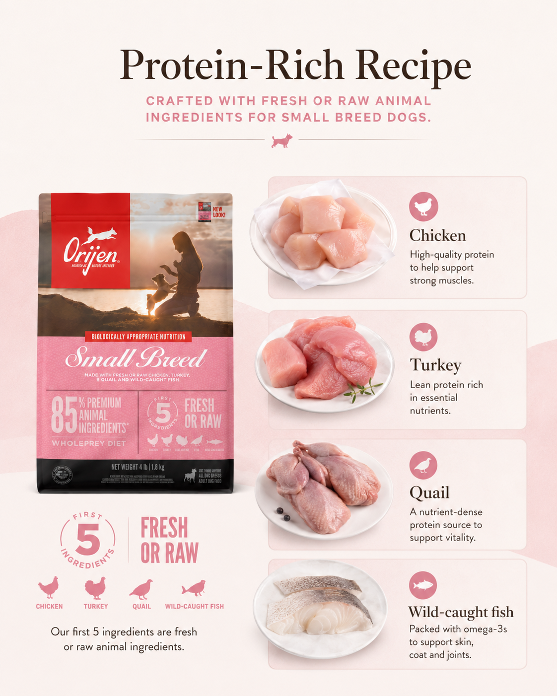 Orijen Small Breed protein-rich dog food recipe with chicken, turkey, quail and wild-caught fish