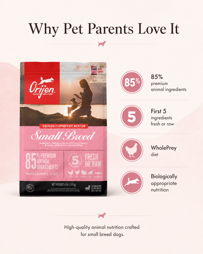 Orijen Small Breed dog food benefits with WholePrey diet and fresh or raw animal ingredients