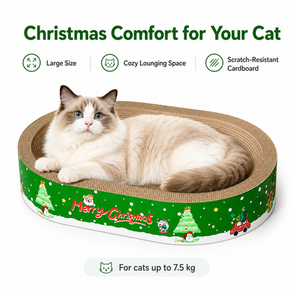 Cat resting in a large green Christmas corrugated cardboard scratcher bed