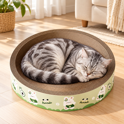Silver tabby cat sleeping in a round corrugated cardboard scratcher bed with a green avocado print